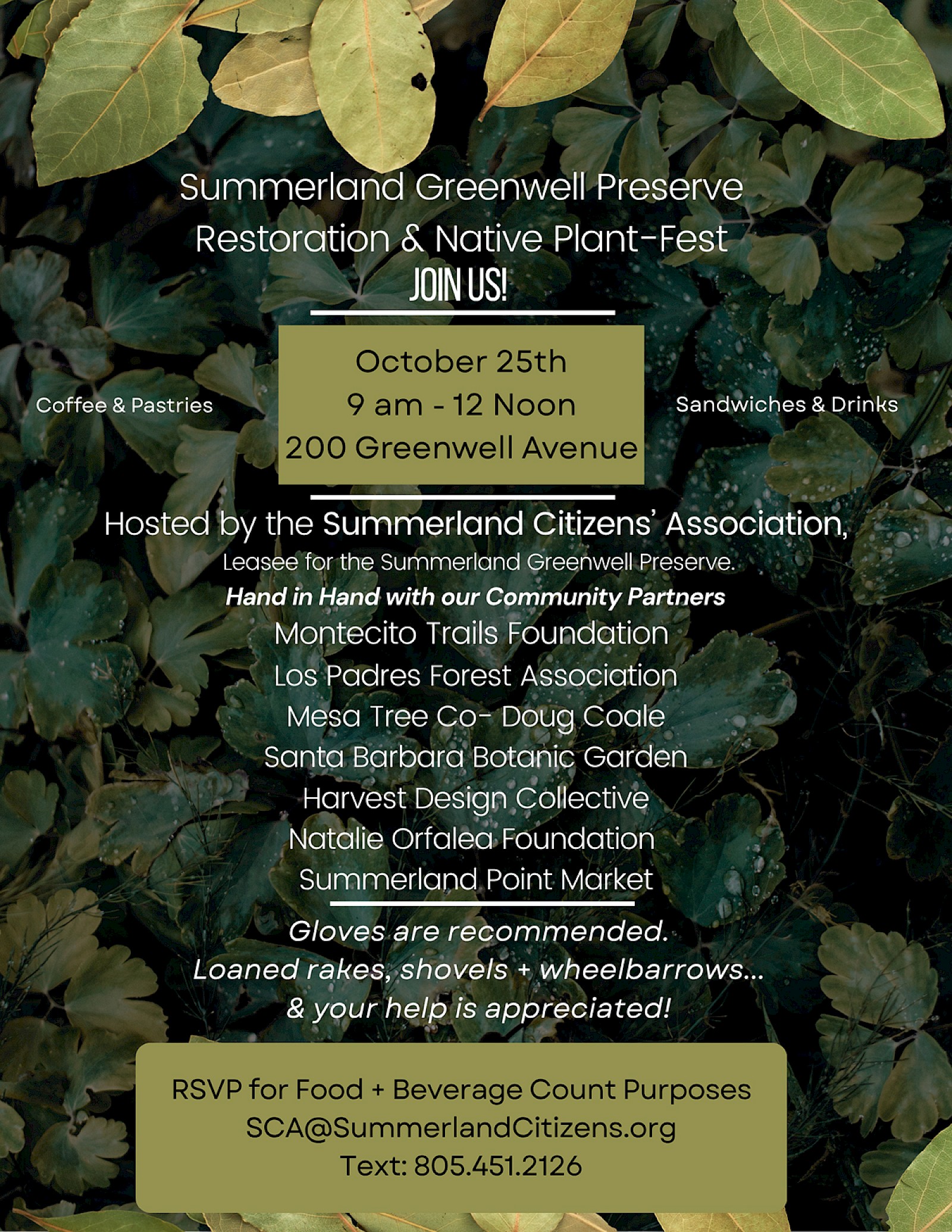 Summerland Greenwell Preserve Restoration & Native Plant Fest